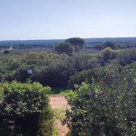Casa En Loma Sancti Petri A 900 M De La Playa De La Barrosa Holiday home